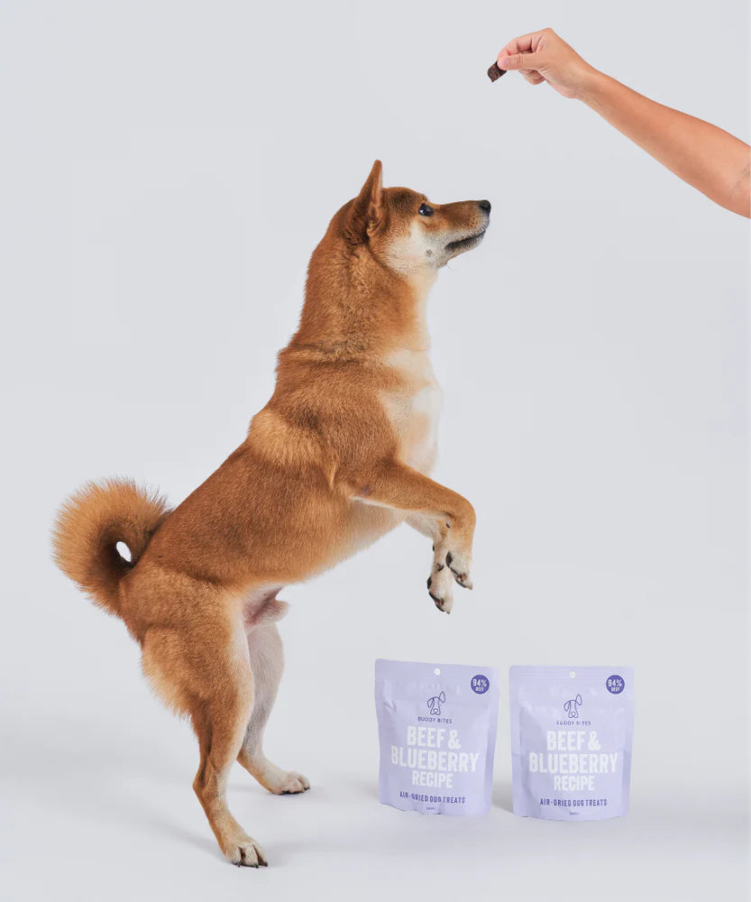 Buddy Bites 天然風乾藍莓牛肉狗狗零食 100克