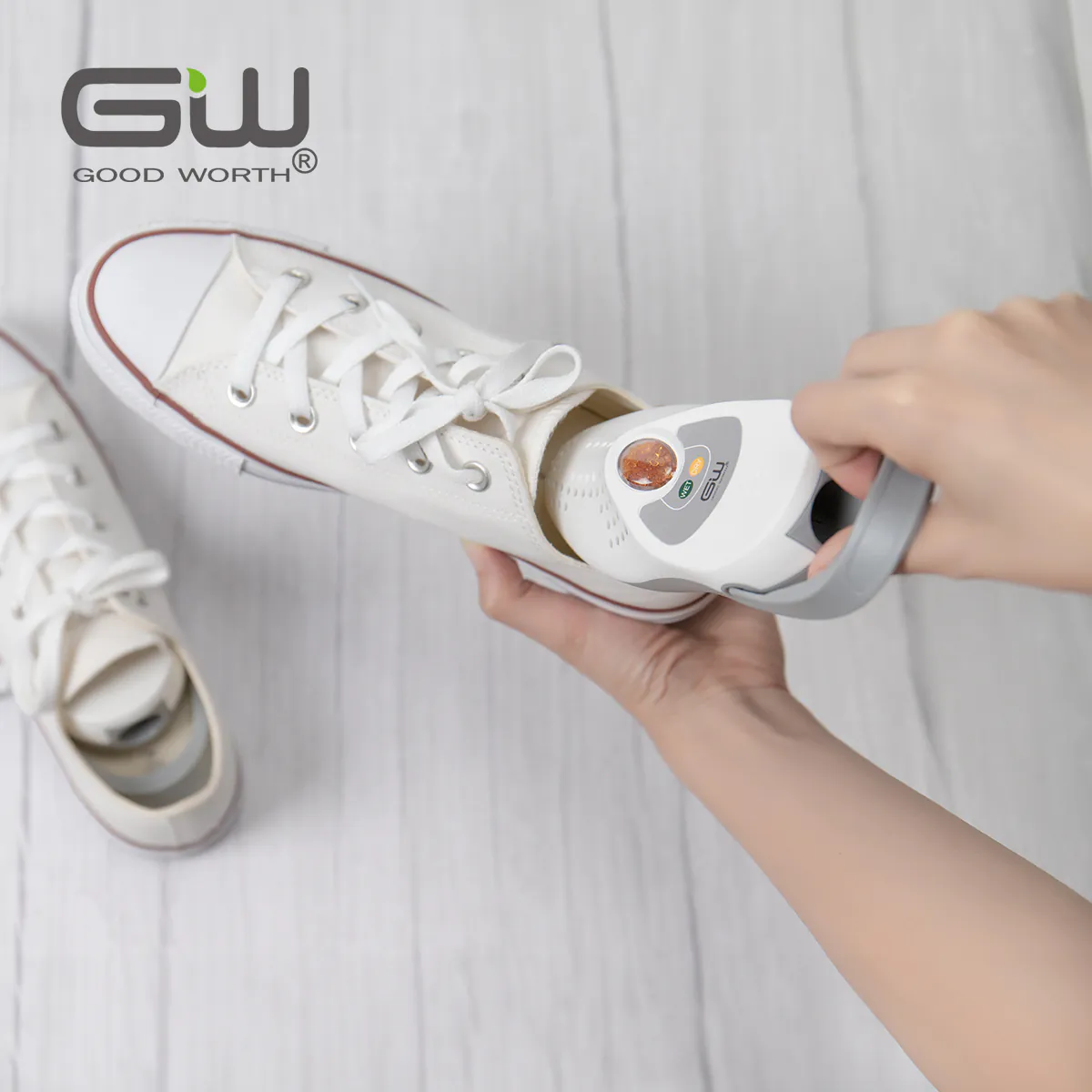 Good Worth 分離式還原鞋形除濕機補充裝 1對裝