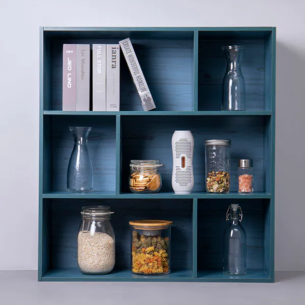 Good Worth 無線式還原迷你時尚除濕機