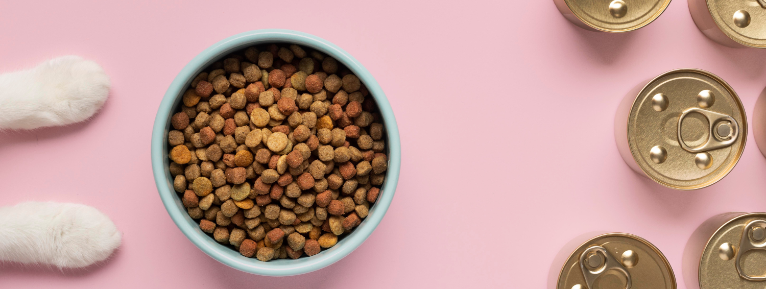 寵愛鮮食！8樣狗狗鮮食天菜和6樣超級禁忌！