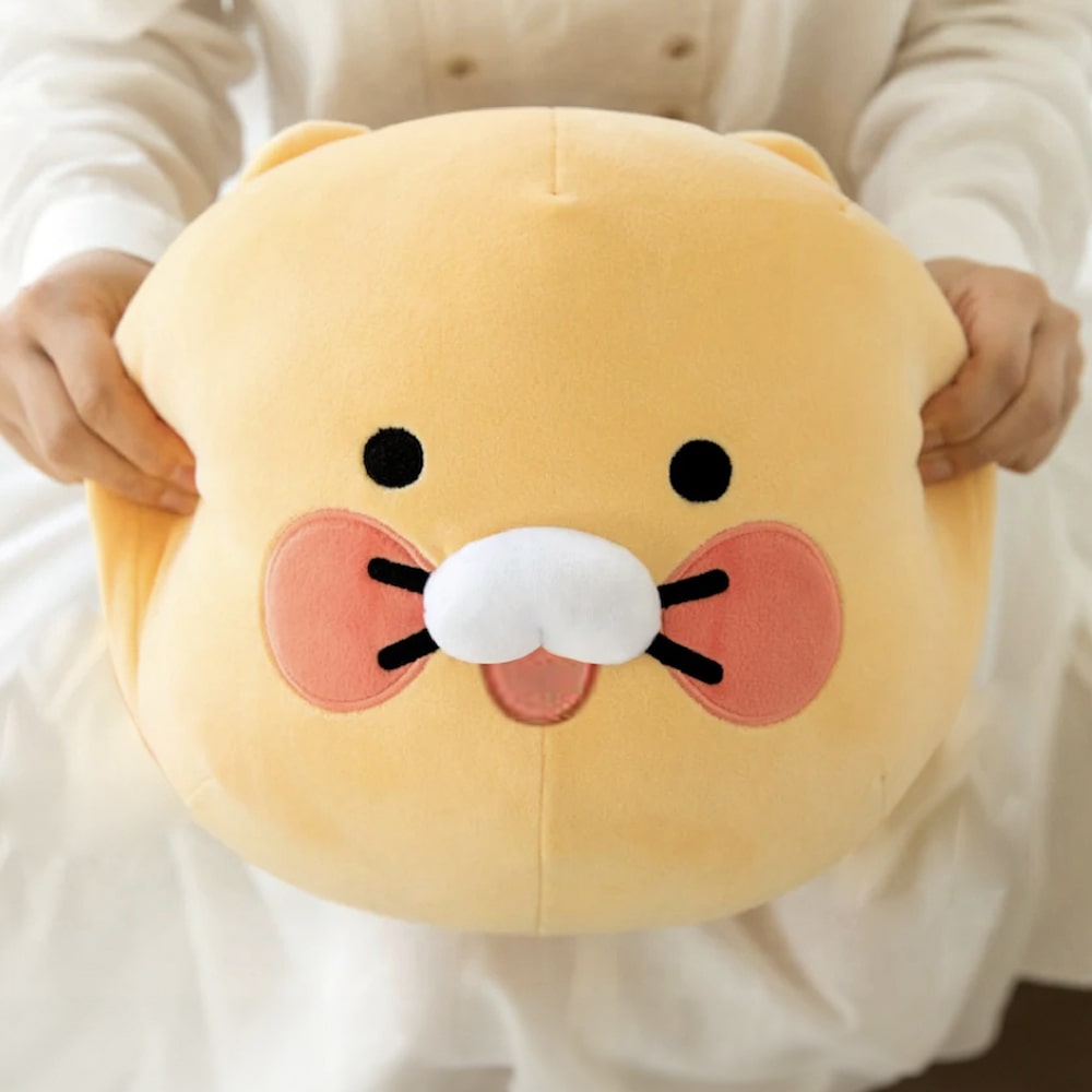 CHOONSIK Fleece Blanket with Cushion