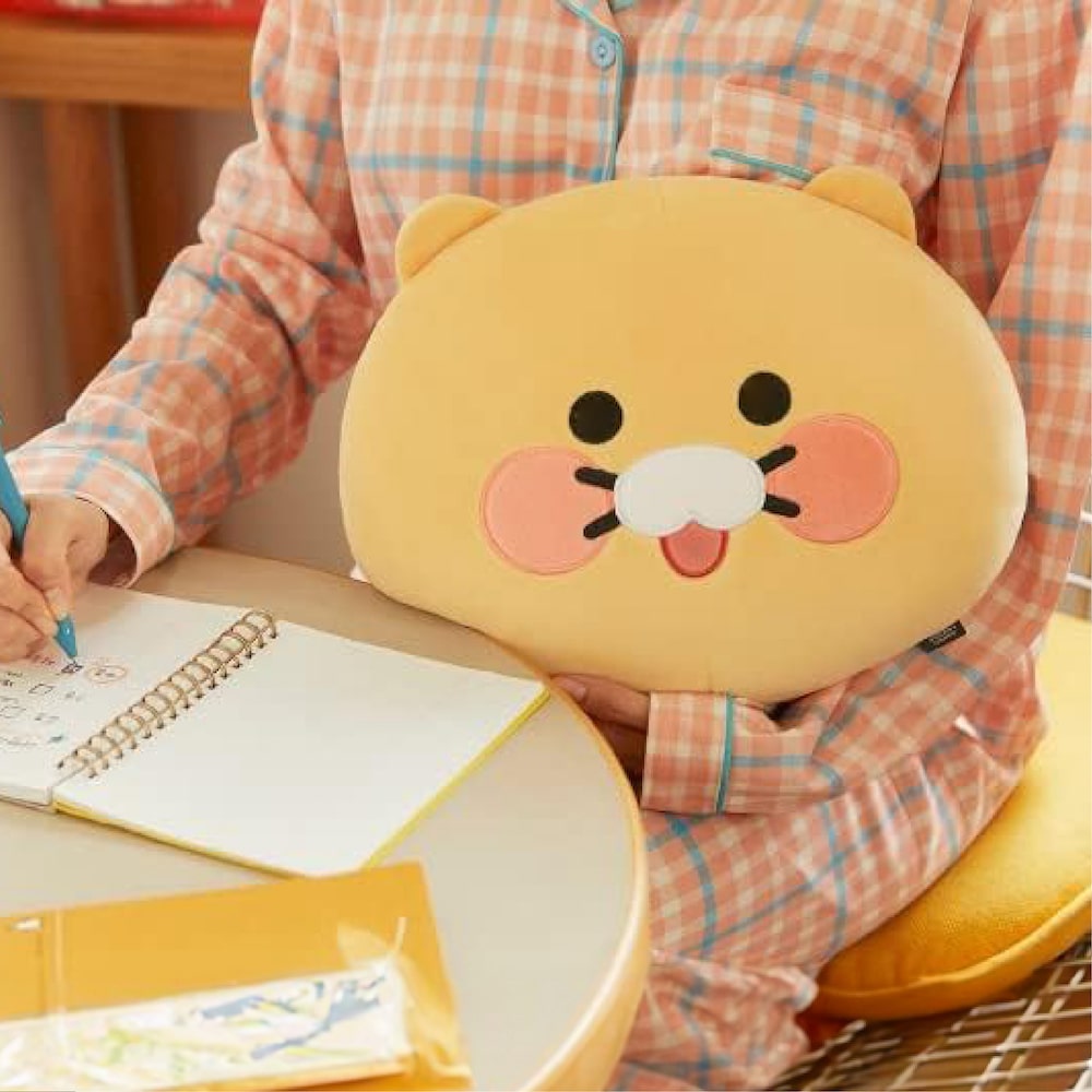 CHOONSIK Fleece Blanket with Cushion