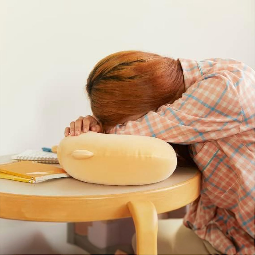 CHOONSIK Fleece Blanket with Cushion