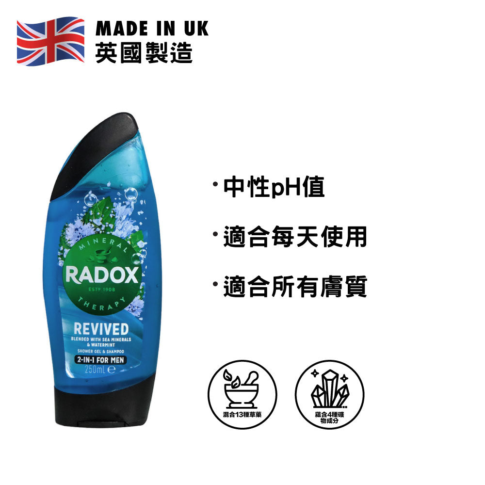 Radox Revived Shower Gel & Shampoo 250ml (Sea Minerals & Watermint)