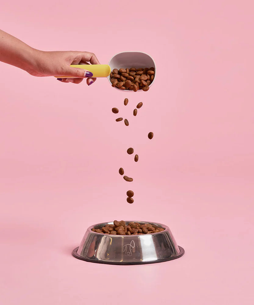 Buddy Bites 成犬三文魚蕃薯乾狗糧 2公斤