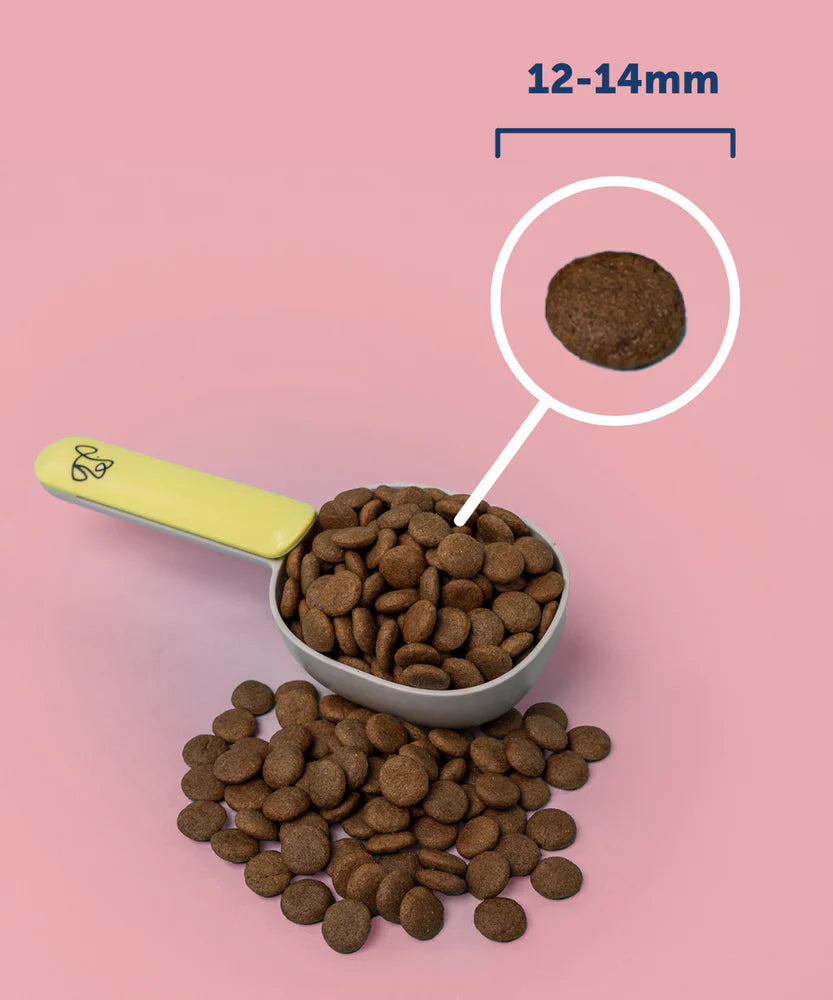 Buddy Bites 成犬三文魚蕃薯乾狗糧 2公斤