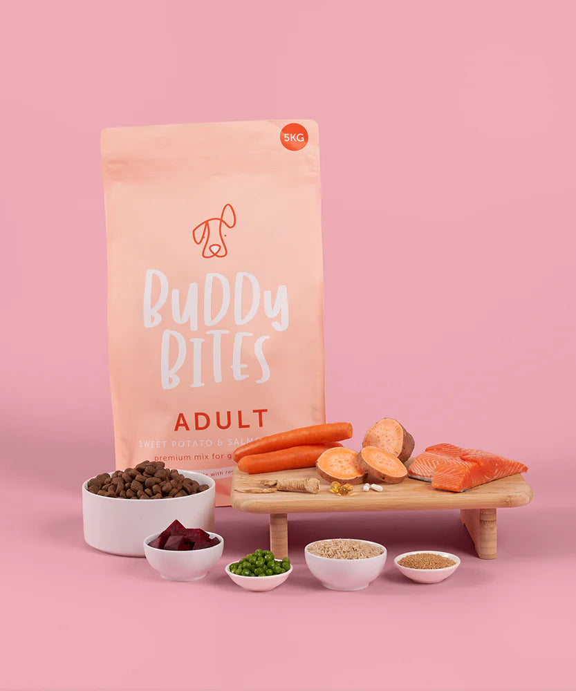 Buddy Bites 成犬三文魚蕃薯乾狗糧 2公斤