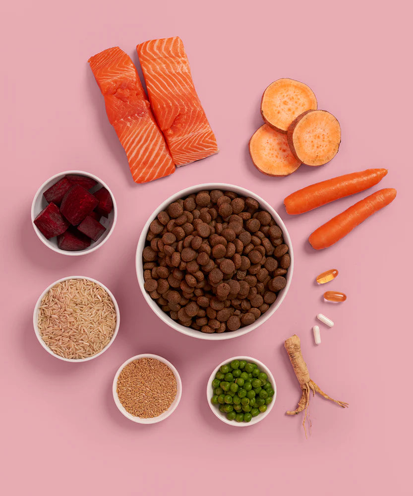 Buddy Bites 成犬三文魚蕃薯乾狗糧 2公斤