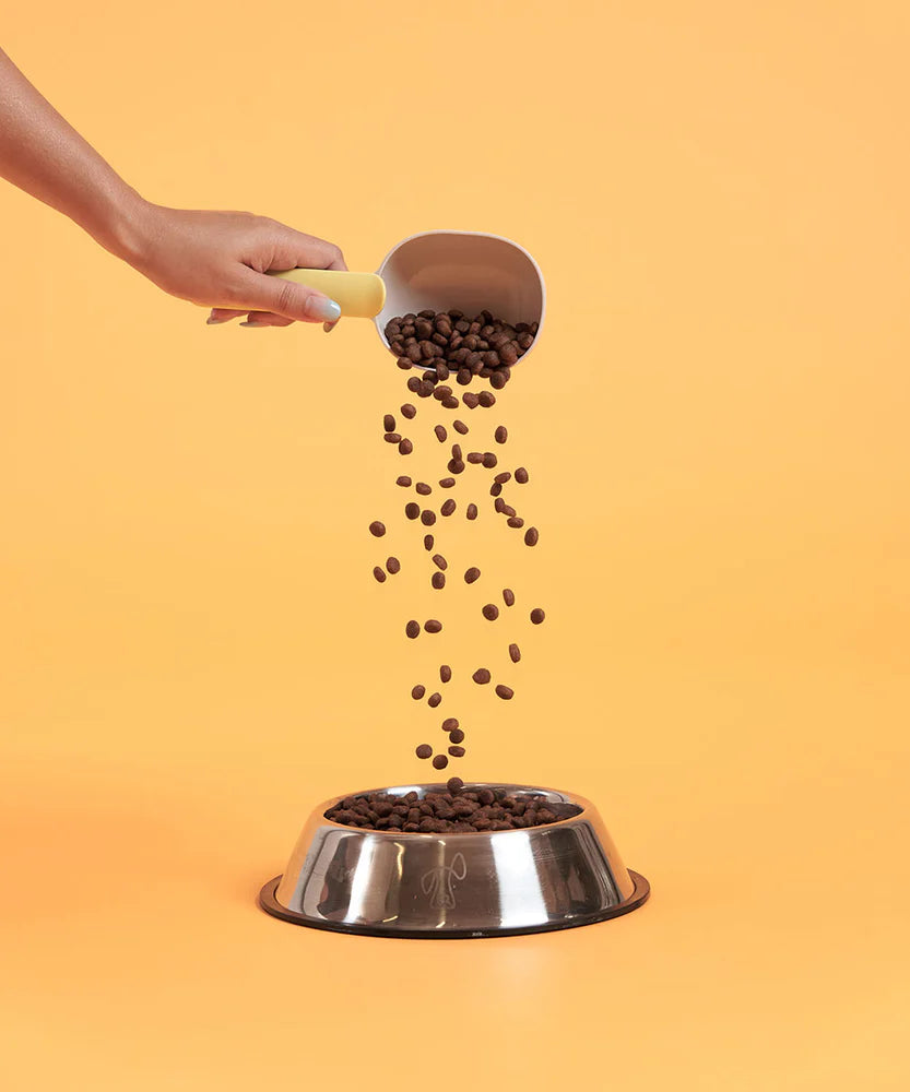 Buddy Bites 成犬火雞蕃薯乾狗糧 2公斤