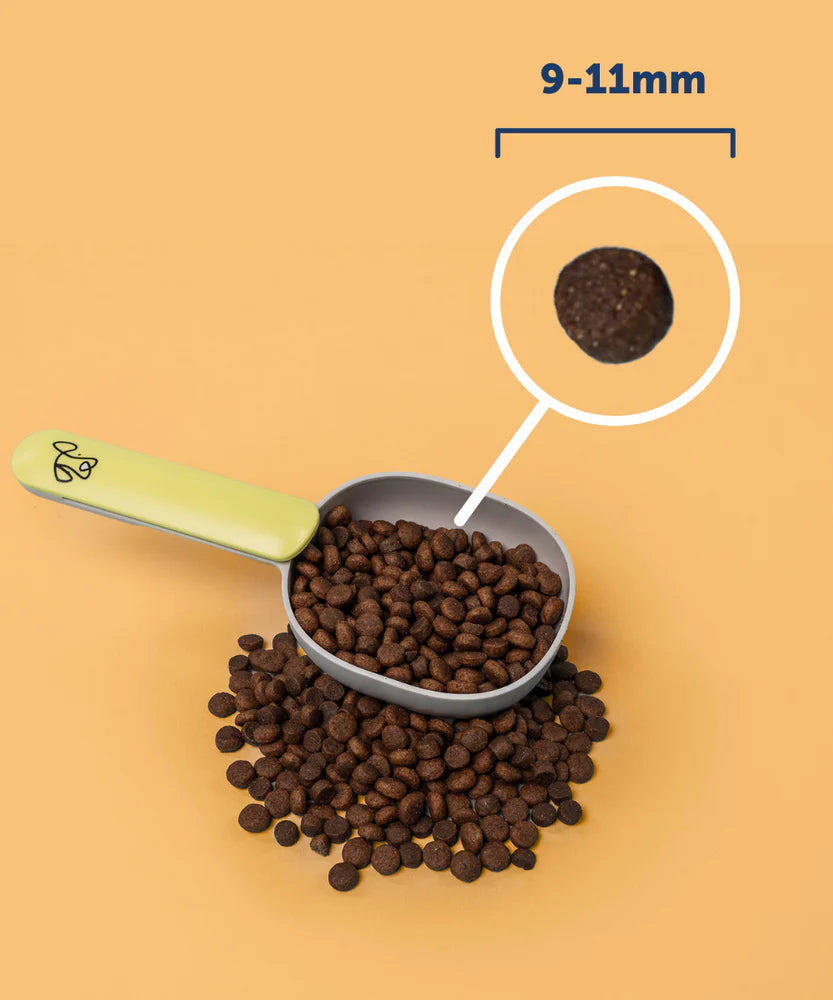 Buddy Bites 成犬火雞蕃薯乾狗糧 2公斤