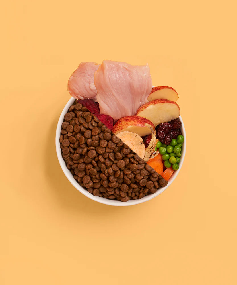 Buddy Bites 成犬火雞蕃薯乾狗糧 2公斤