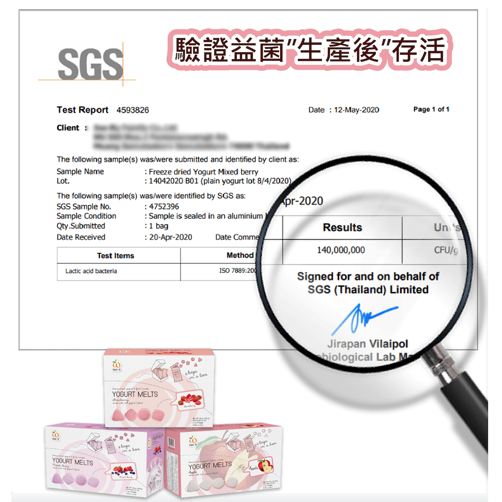 [BB] Wel-B Baby Freeze Dried Yogurts Mixed Strawberries Flavour 7g x 6