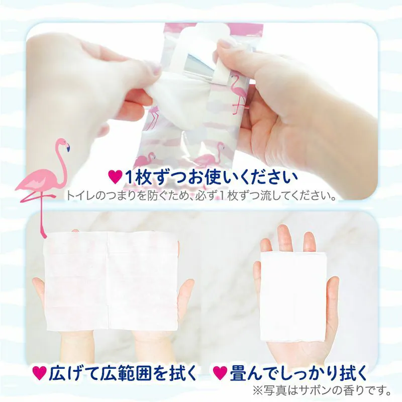 LEC Femia Femwet 女性私密濕紙巾 (天然無香) 10張x3包