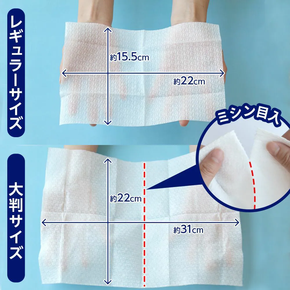 LEC 激落君一秒溶解廁所除菌清潔紙 (24張) 2包裝