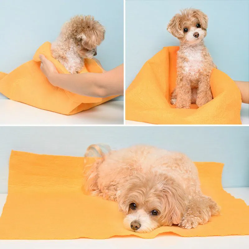 LEC Gekiochi-Kun Super Dry Cleaning Cloth 50 x 60cm