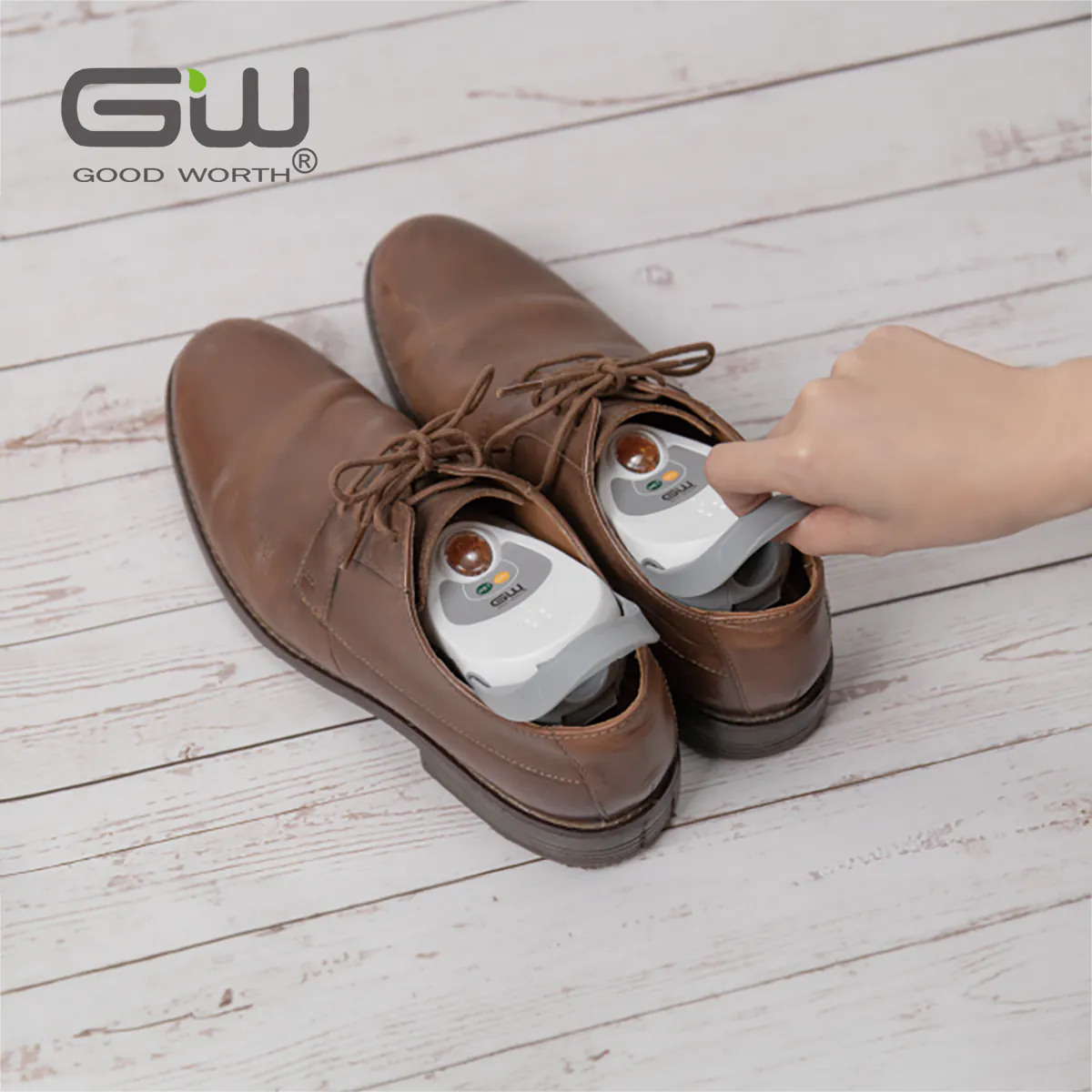 Good Worth 分離式還原鞋形除濕機補充裝 1對裝