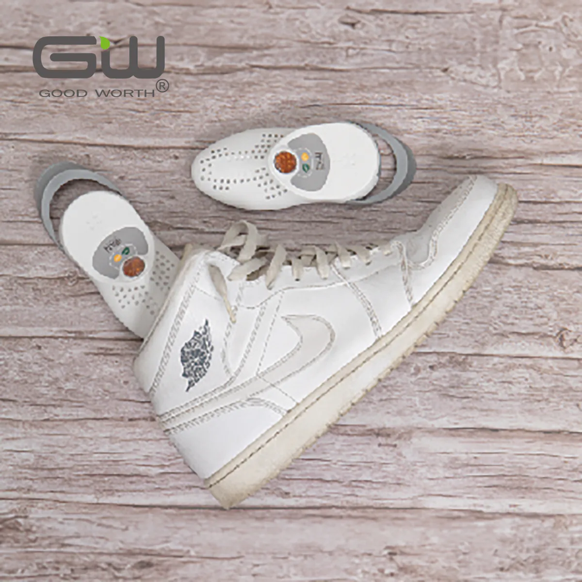 Good Worth 分離式還原鞋形除濕機補充裝 1對裝