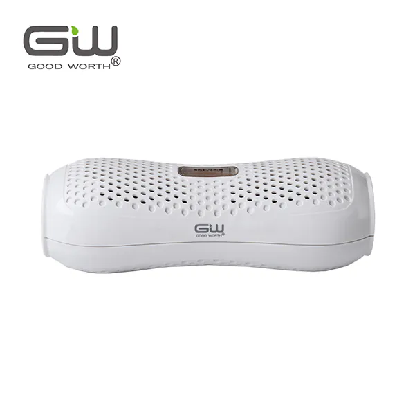Good Worth Sylvia Wireless Reusable Mini Dehumidifier