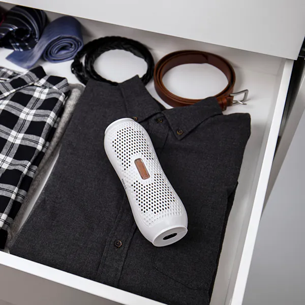 Good Worth Sylvia Wireless Reusable Mini Dehumidifier