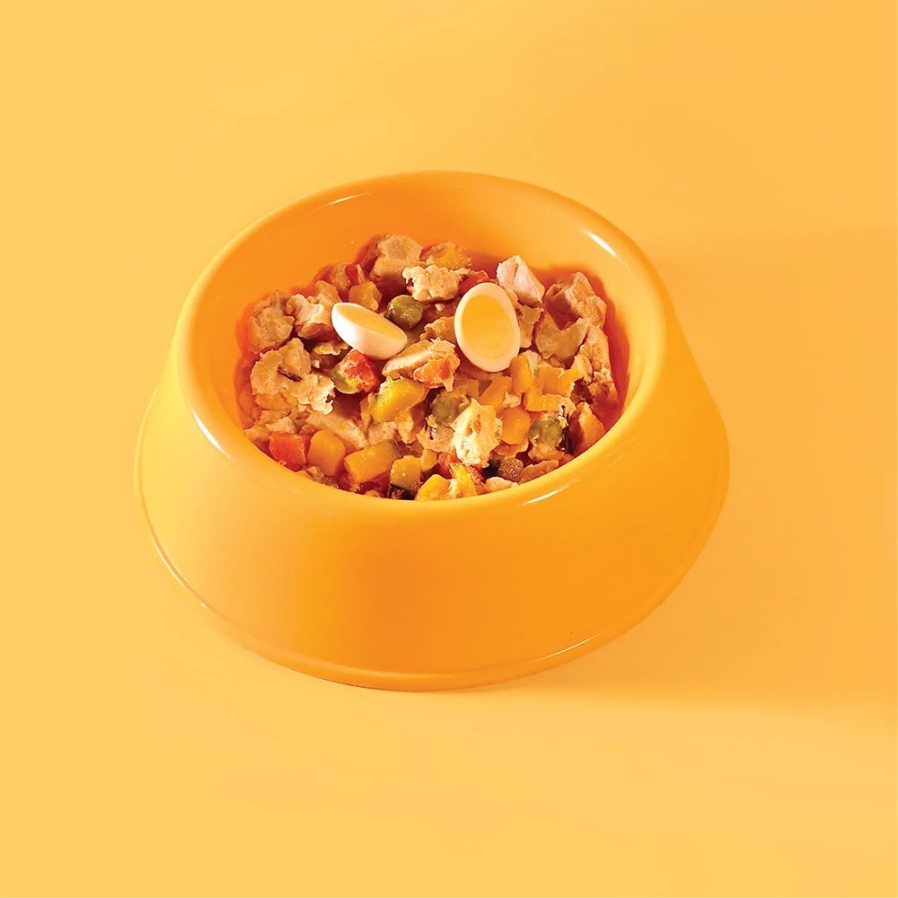 五歲半 汪!是親子丼狗狗主食餐包，150克的狗食裝滿健康材料，包含肉塊與蔬菜，碗內顏色鮮豔