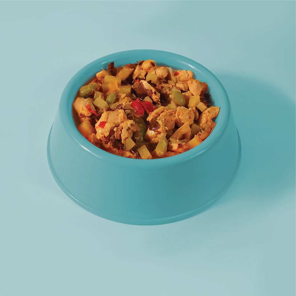 五歲半狗狗主食餐在藍色碗中，包含雞肉、魚肉和新鮮蔬菜，美味可口的狗狗食品。