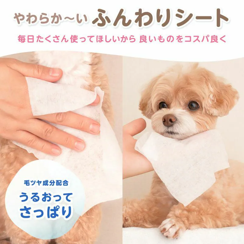 LEC 99% 純水寵物濕紙巾輕柔布與可愛狗狗清潔四肢和面部，讓毛孩清新潔淨