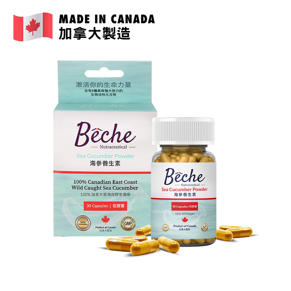 Bêche 加拿大野生海參養生素 30粒